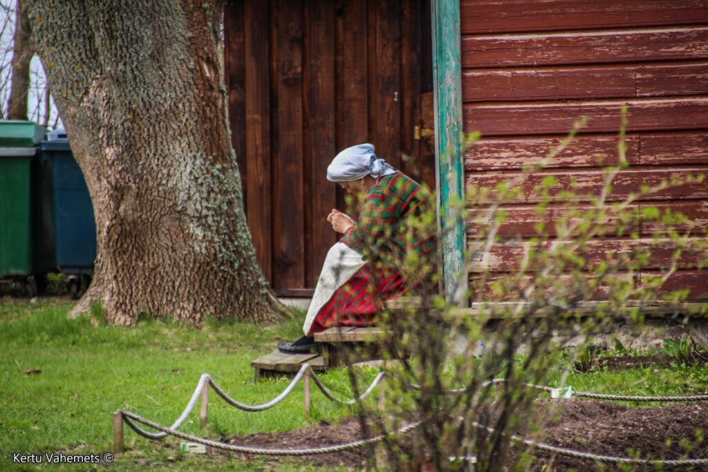 Viimsi vabaõhumuuseumi talud