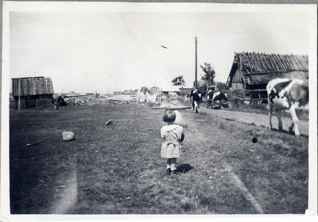 Rohuneeme miljöö kaheksakümne aast eest. Püünsi külaseltsi fotokogu