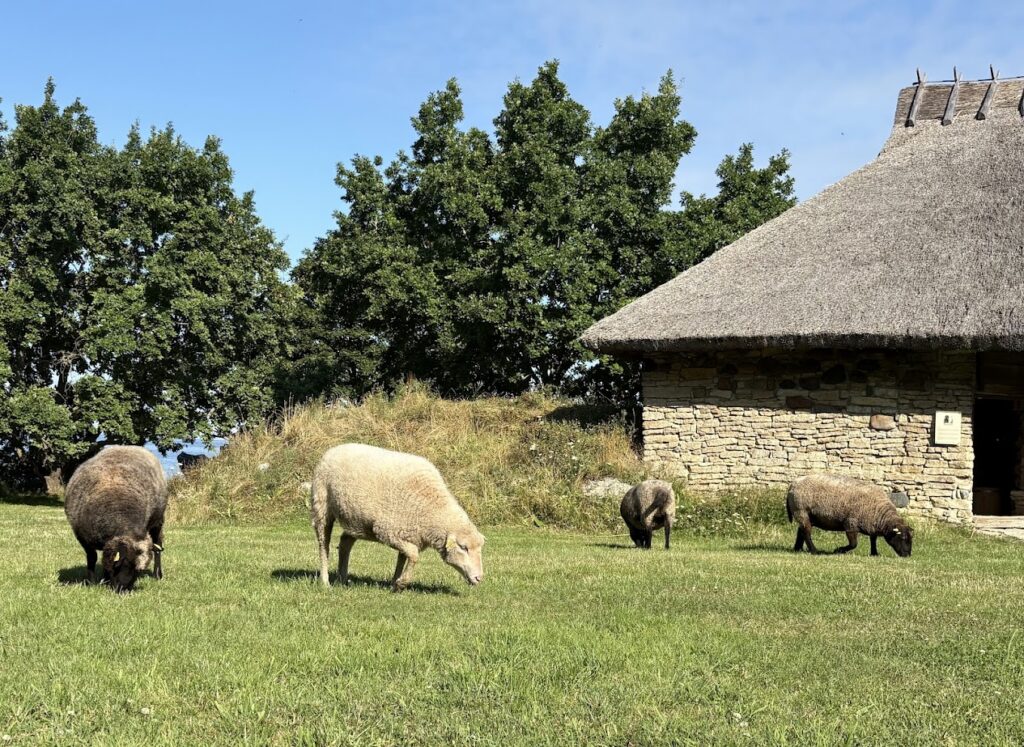 Viimsi rannarahvamuuseum