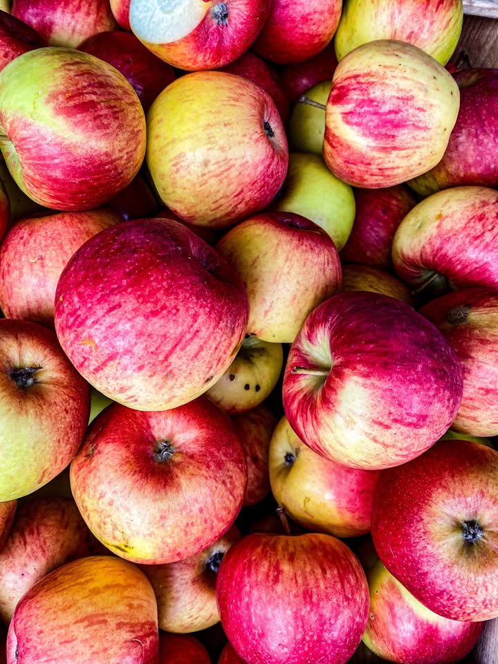 Ubinapäev Viimsi taluturg