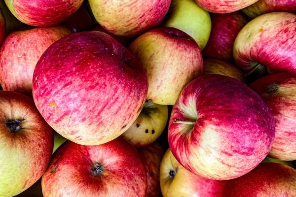 Ubinapäev Viimsi taluturg